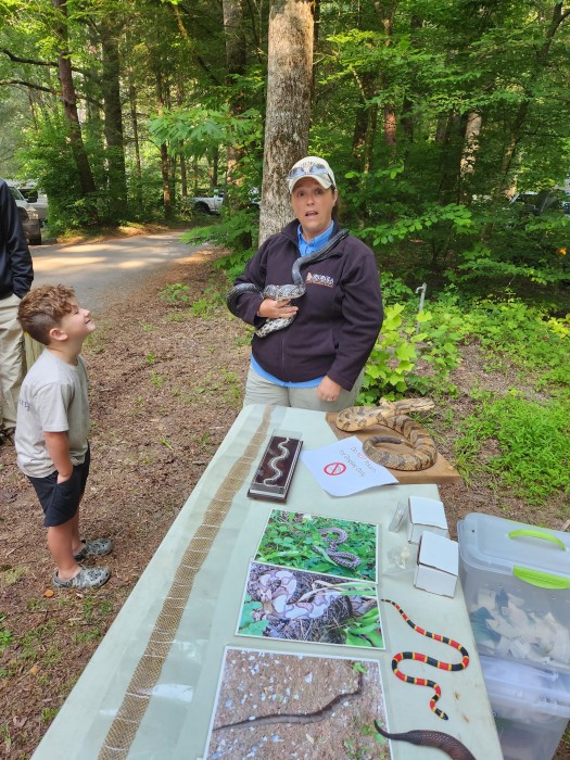 Tallulah River Campground