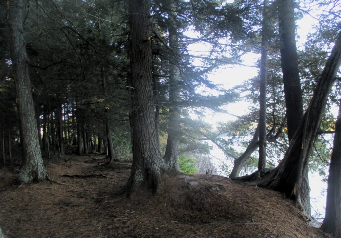 Sylvania (Clark Lake) Campground