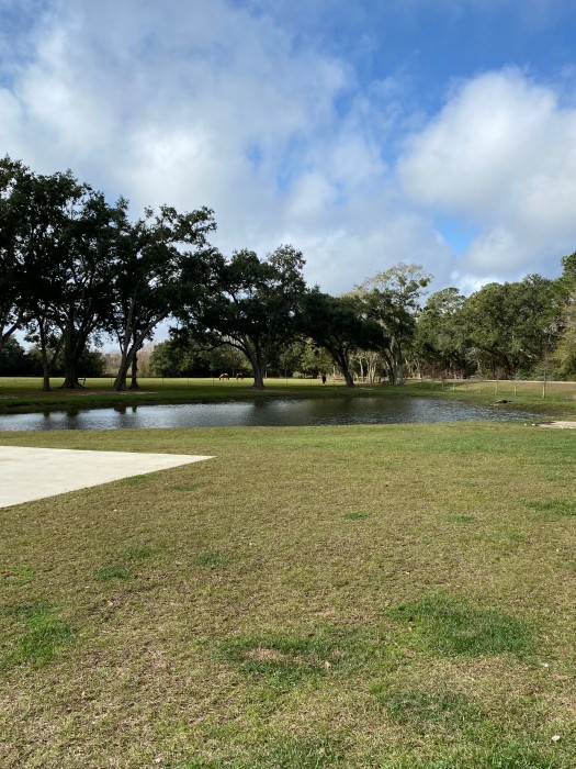 Homestead RV Community