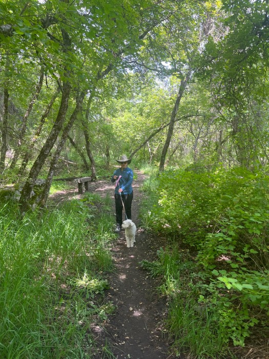 Spring Hollow Campground