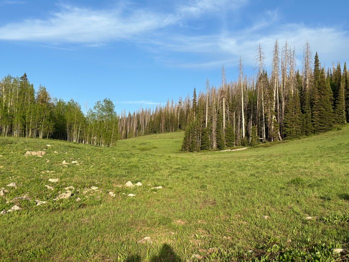 Soapstone Campground