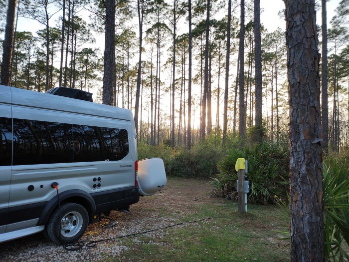 Tate’s Hell State Forest