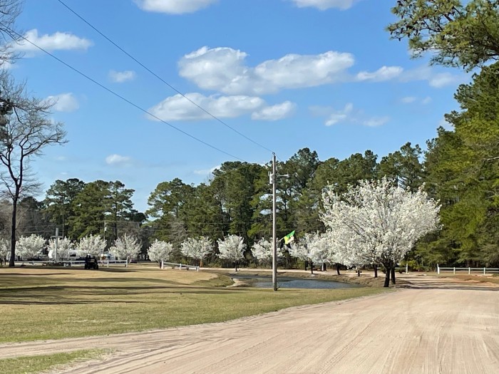 Lumber River Campground