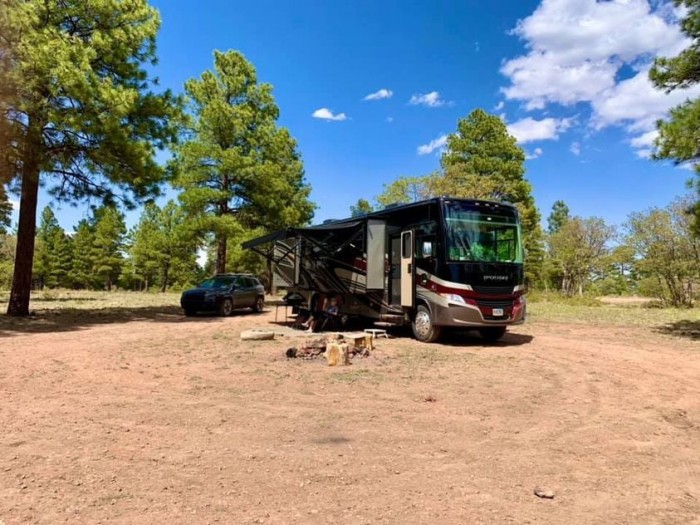 Coconino Rim Road Dispersed Camping