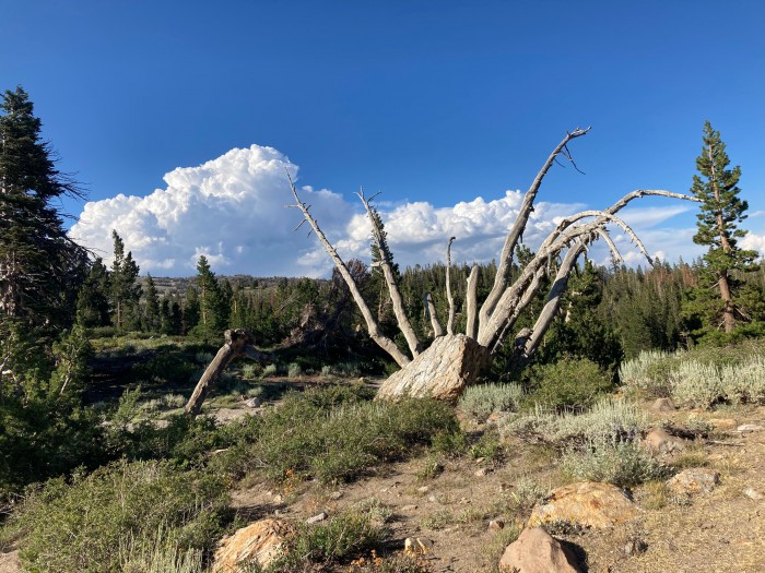 Reversed Creek Campground