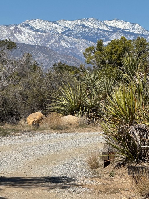 Pinyon Flat Campground