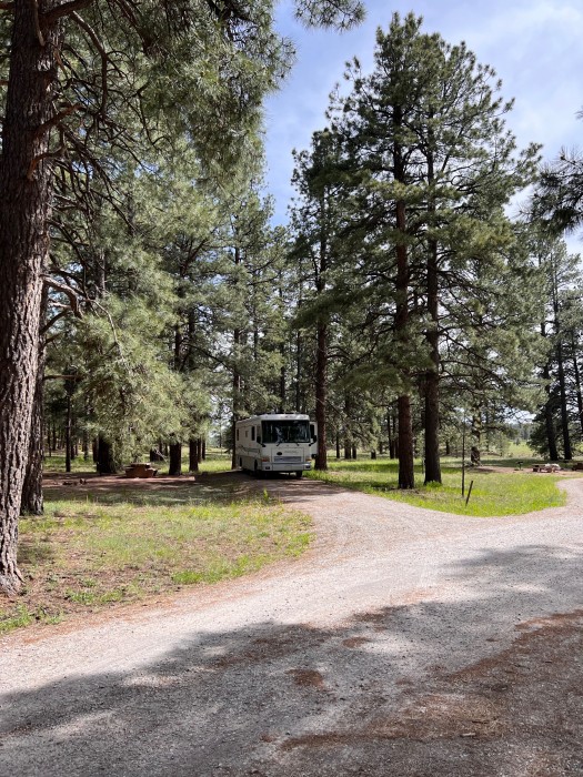 McGaffey Campground