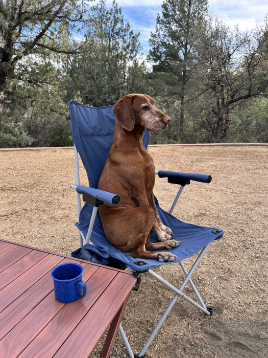 Lynx Lake Campground