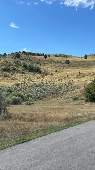 Diamond Fork Campground