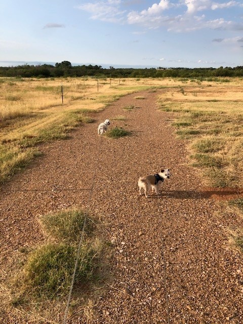 J&S RV Ranch