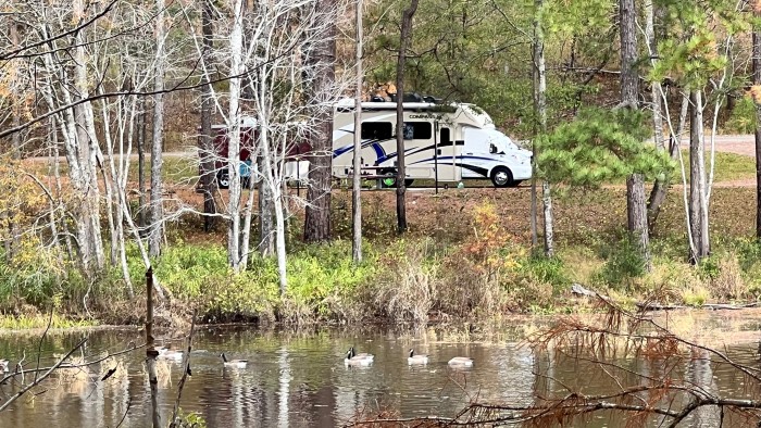Talladega National Forest Pine Glen Campground
