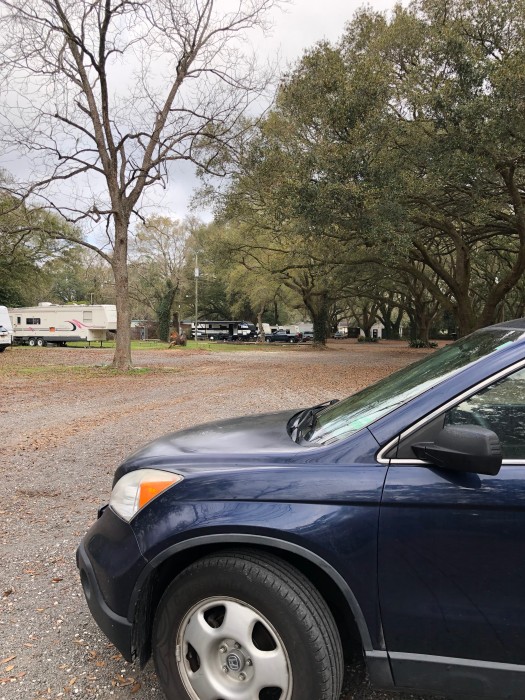 Whispering Oaks