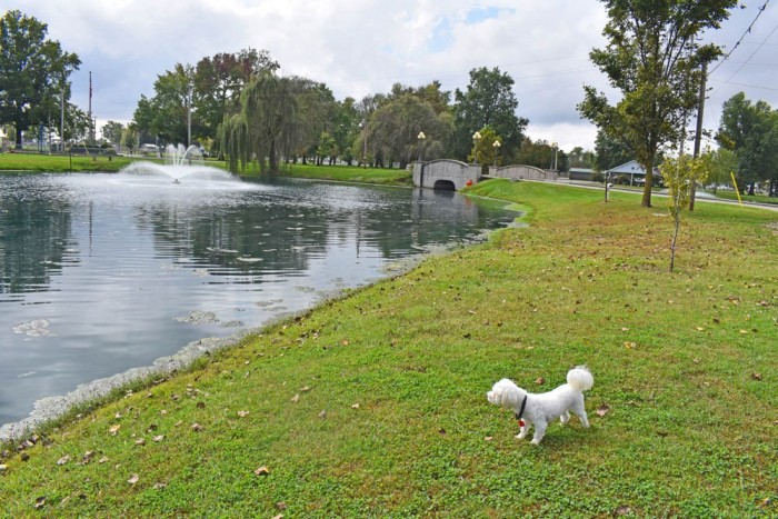 Fairview Park