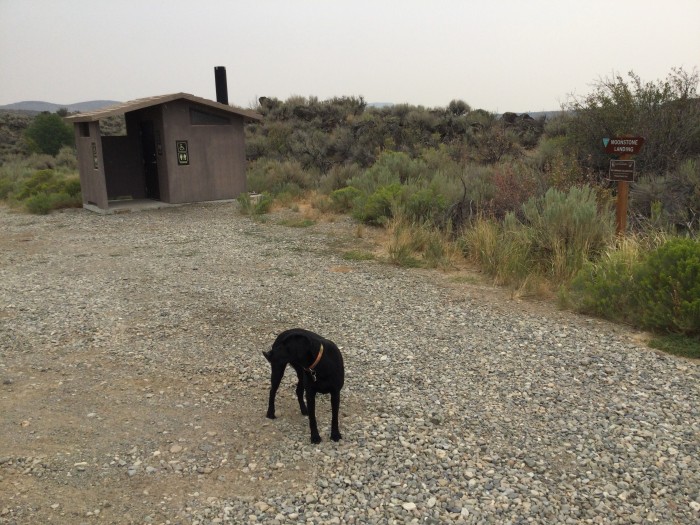 Moonstone Access Camping