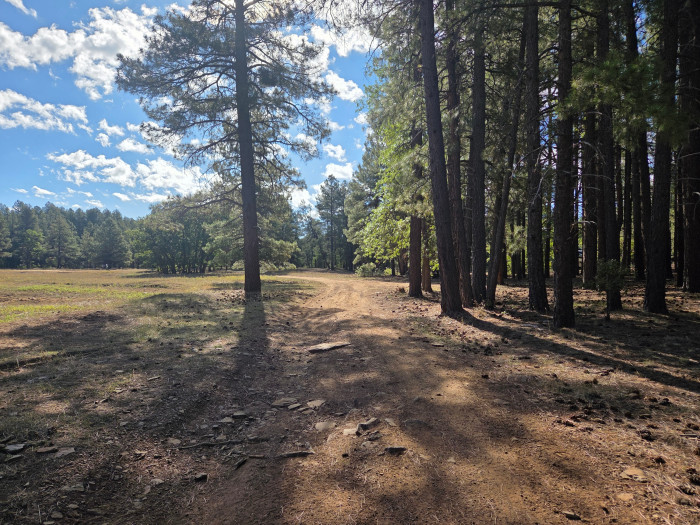 Willard Springs Dispersed Campground