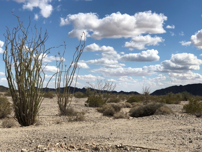American Girl Mine BLM Dispersed Camping