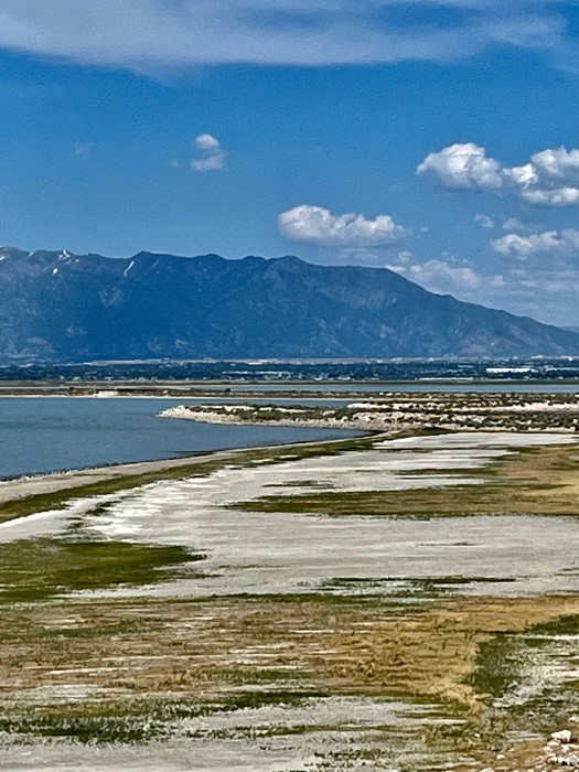 Antelope Island State Park – White Rock Bay Campground