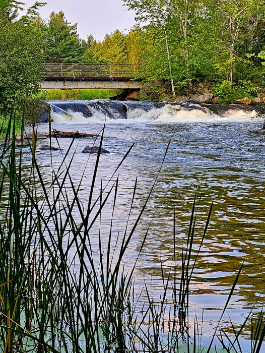 Cedar Falls Campground
