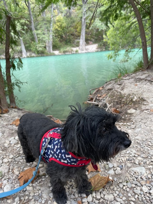 Zubers River Camp