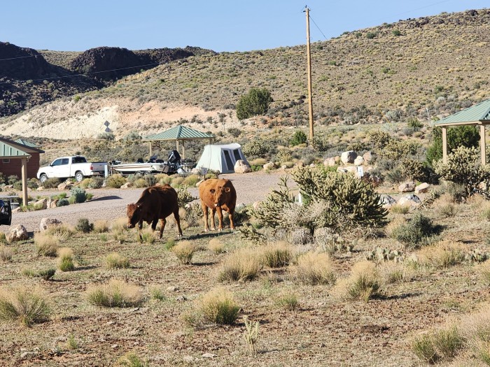 Gunlock State Park