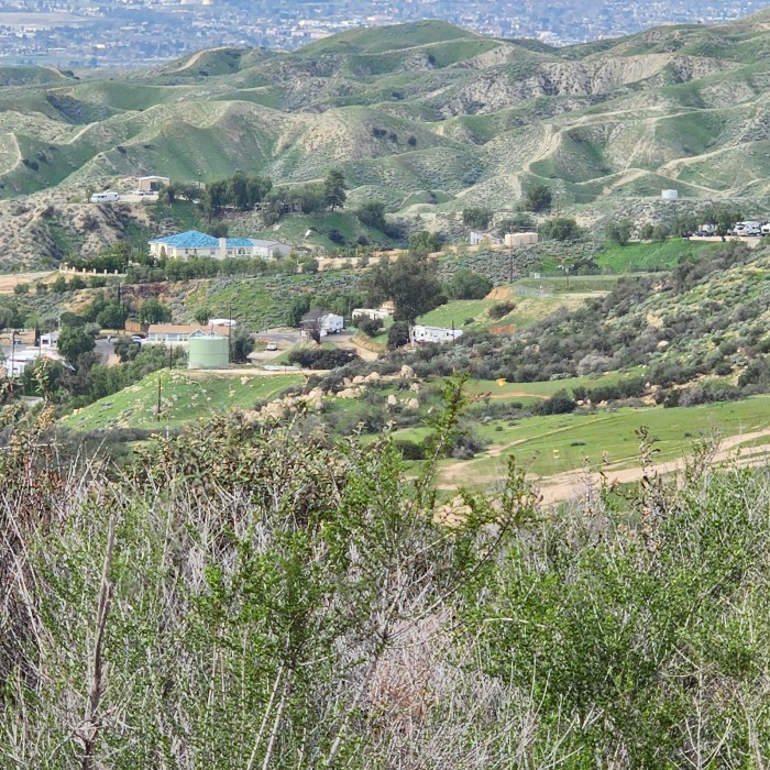 Olive Dell in Colton