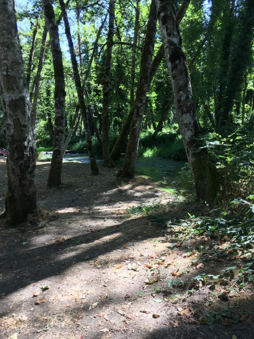 Feyrer Park