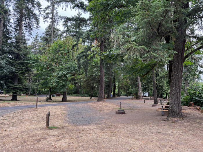 John Neal Memorial Park