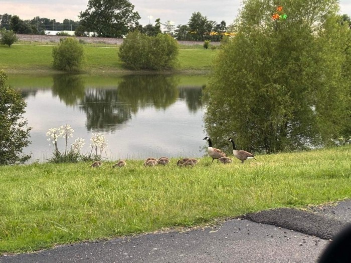 Lakeview RV Resort