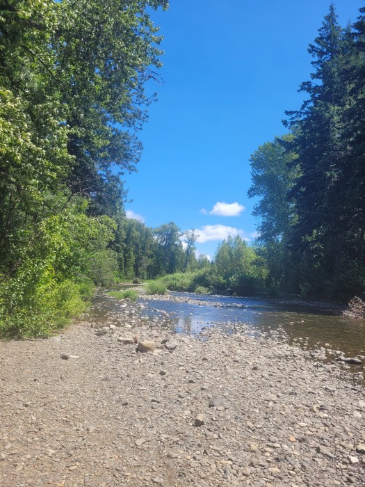 Teanaway Campground