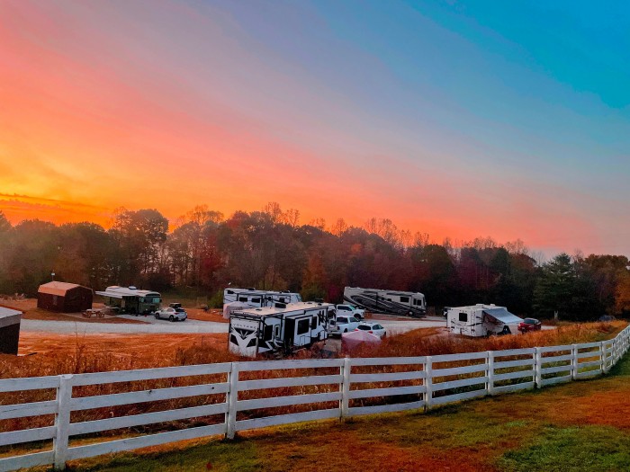 Firefly Hills