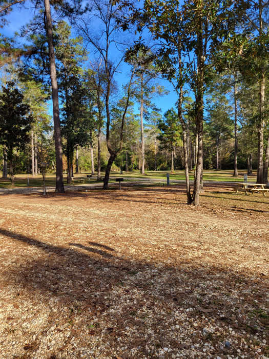 Bogue Chitto Swamp Cabins