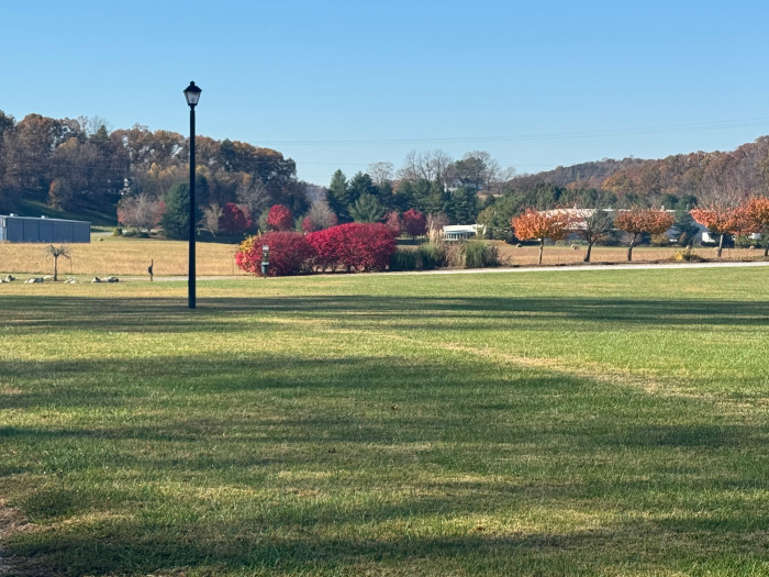 Limestone Park