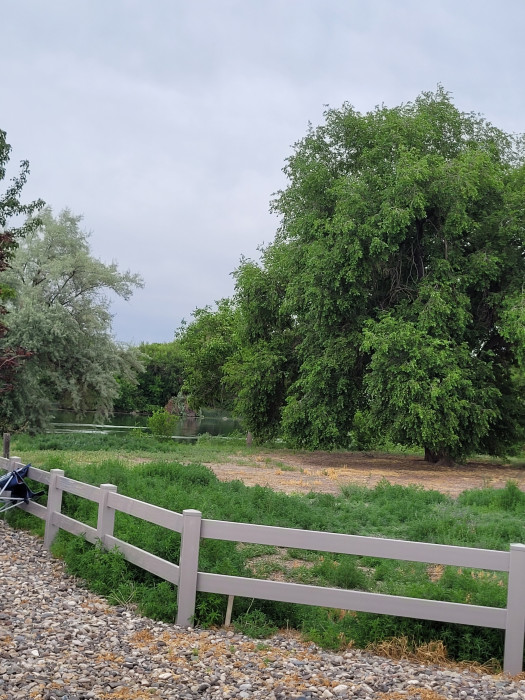 Shady Lane RV Park