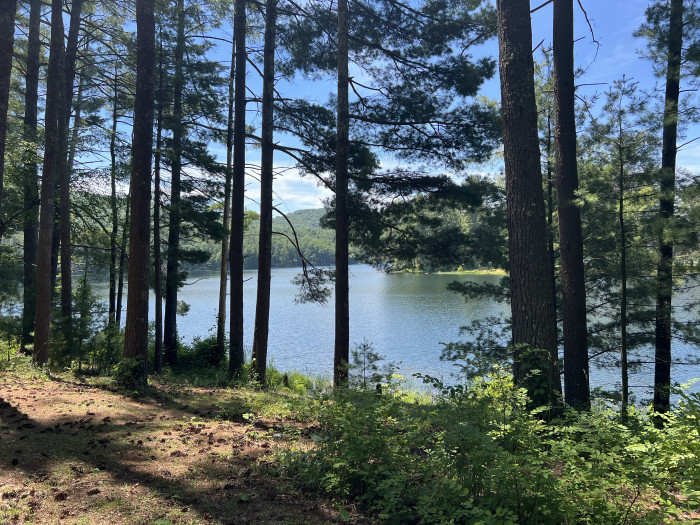 West Shore – Lake Sherwood