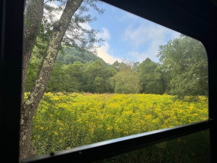 Marlinton Creek and Trail Campground
