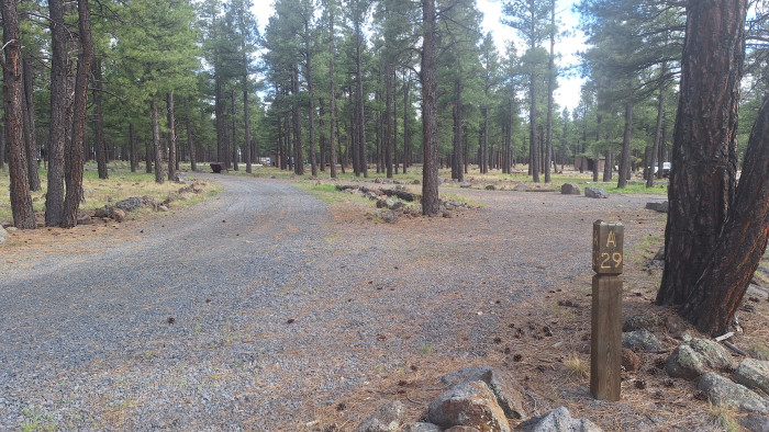 Kaibab National Forest Dogtown Campground