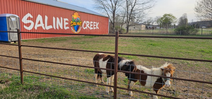 Saline Creek RV Park & Campground