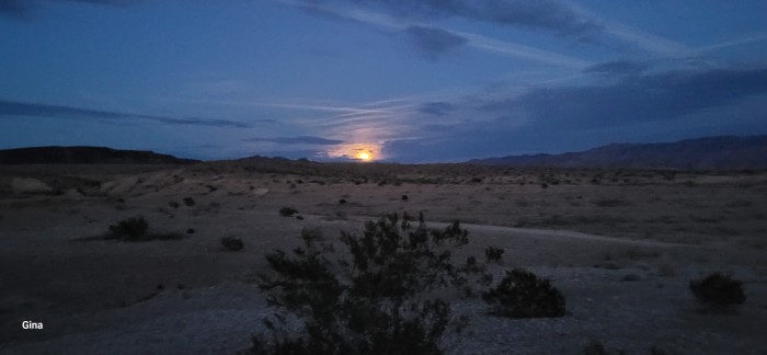 Lake Mead National Recreation Area, 8 Mile Road Dispersed Camping