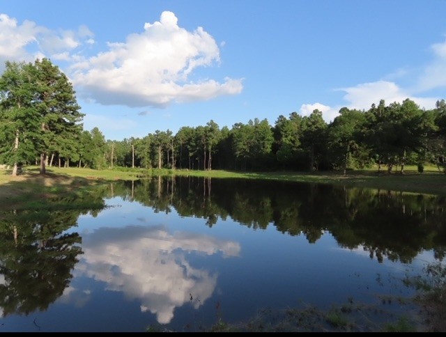 Magnolia Springs RV Park
