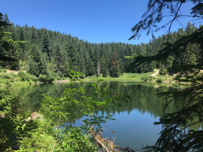 Alpine Lakes Lodge and RV Park