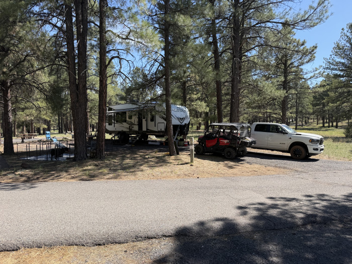 Kaibab National Forest White Horse Lake Campground