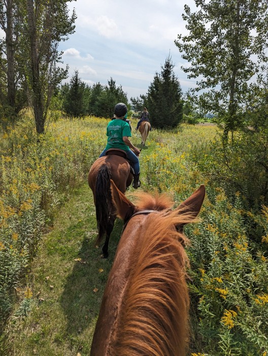Geitner Homestead Equine Campground