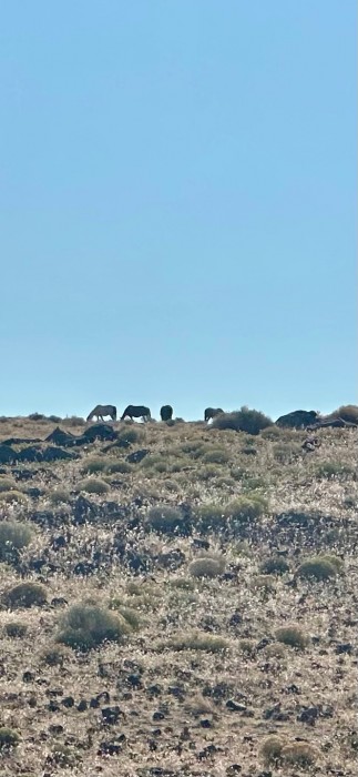 Comstock Meadows RV Park