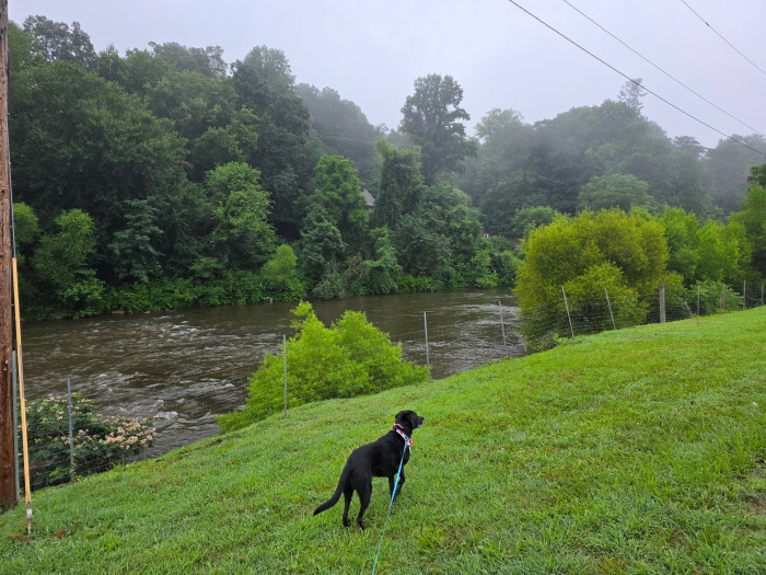 Dillsboro RV River Park