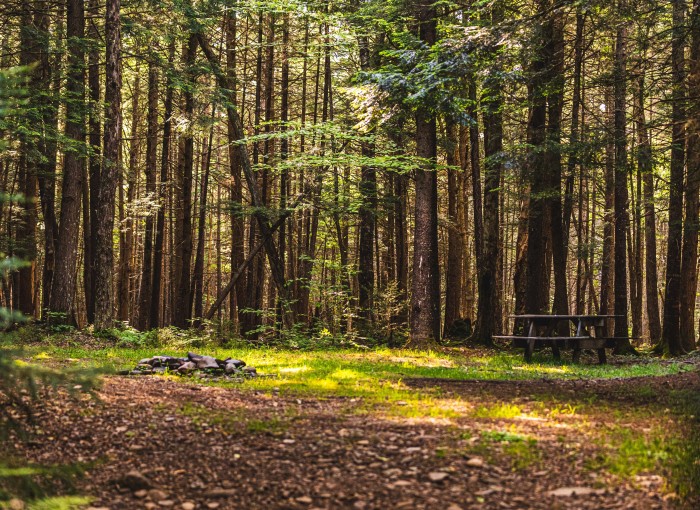Willowemoc Campgrounds