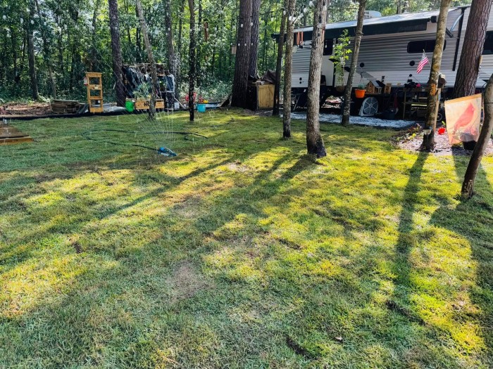Waccamaw Pines Campground