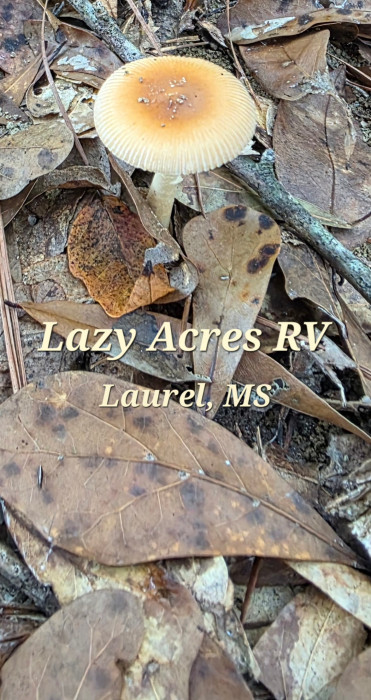 Laurel MS Lazy Acres RV