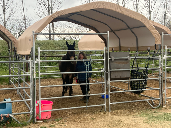 Laughing Horse Boarding and Horse Motel