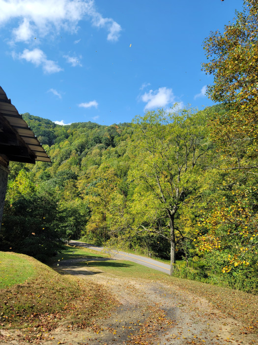 Jacob Fork Creek Campground