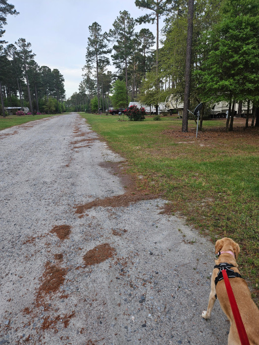 Plantation Pines RV Park